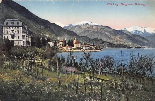 Schweiz Lago Maggiore Brissago See Vintage Postkarte
