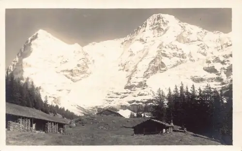 A088 Schweiz Mettlen Alp Eiger Mönch Berg Vintage Postkarte