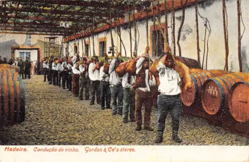 B034 Portugal 1928 Madeira Coducao de Vinho Gordon&Co Stores Wein Postkarte
