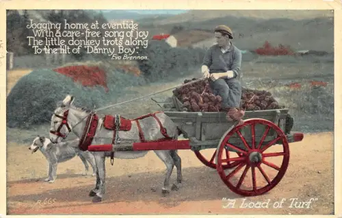 Irland 1962 Eine Ladung Rasen-Eselwagen Bauernhund Gedicht von Eva Brennan Postkarte