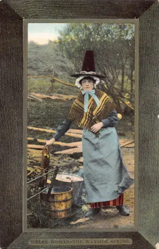 Wales Passepartout Welsh Woman The Wayside Spring Ethno Vintage Postkarte