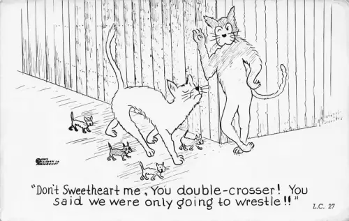 Comic Humor Katzen Kätzchen Schatz mich nicht, wir wollten ringen Postkarte