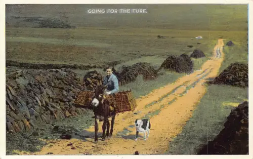 Landschaft Junge reitet Esel Hund Haustier geht auf den Rasen Vintage Postkarte