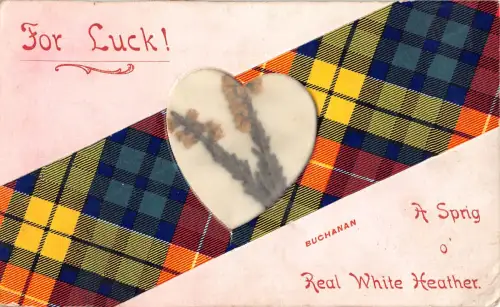 Glück 1910 schottischer Buchanan Clan Tartan echte weiße Heideblume Postkarte