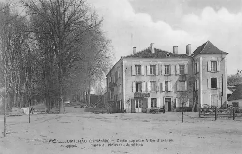 Frankreich Jumilhac Limousin Cette Allee d'Arbres Vintage Postkarte