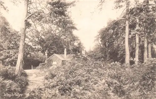 England 1904 Weybridge The Keath Vintage Postkarte