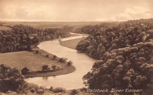 England Calstock River Tamar Vintage Postkarte