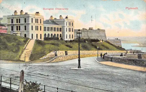 England 1908 Plymouth Biological Observatory alte Postkarte