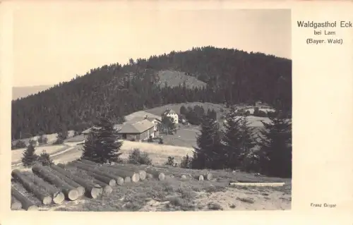 L203 Deutschland Bayerischer Wald Waldgasthof Eck bei Lam Vintage Postkarte