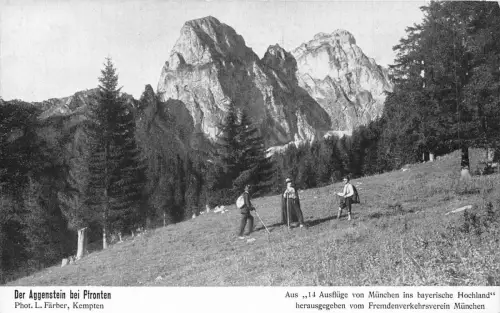 L201 Deutschland Der Aggenstein bei Pfronten Hirten Vintage Postkarte