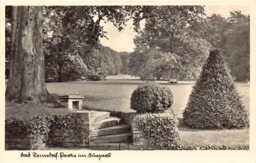 L205 Deutschland Kurpark Bad Nenndorf Park Vintage Postkarte