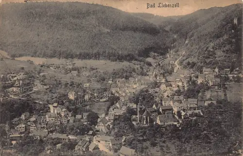 L202 Deutschland Bad Liebenzell Panoramablick Vintage Postkarte