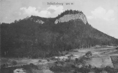 L202 Deutschland Schalksburg Klippenwald Vintage Postkarte