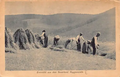 L199 Deutschland Erntebild aus dem Sauerland Roggenernete Heuhahnarbeiter Postkarte