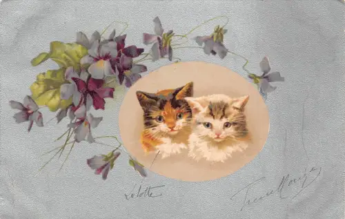 L081 Frankreich 1904 Katzen Blumenportrait Comic Postkarte