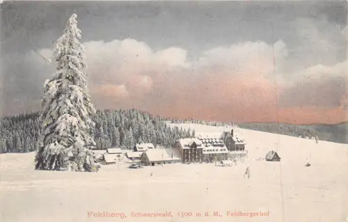 L199 Deutschland 1907 Feldberg Schwarzwald Feldberghof Schneebaum Vintage Postkarte