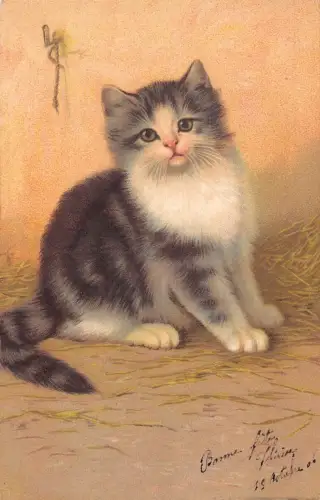 L081 Frankreich 1906 Katze Kätzchen Portrait Künstler Postkarte