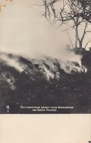 L080 Italien Boscotrecase Lavastrom in den Weinbergen Katastrophe Vulkan Postkarte