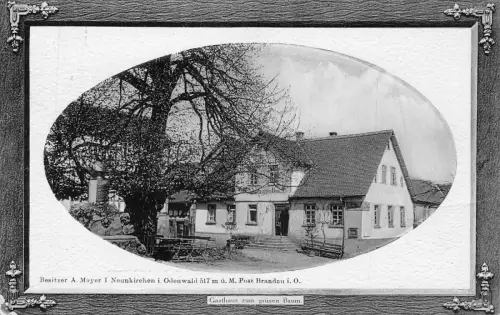 A099 Deutschland 1910 Gasthaus zum Grünen Baum Haus bei Baumbänken Postkarte
