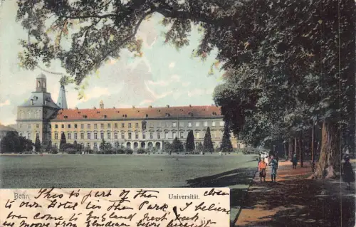 L015 Deutschland 1904 Bonner Universität Bäume Vintage Postkarte