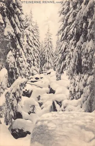 A100 Deutschland 1912 Steinerne Renn Harzer Wald im Schnee Vintage Postkarte