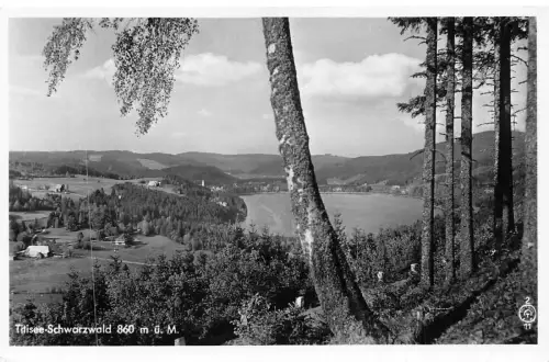 L153 Germany Titisee-Schwarzwald 860 mue. Μ. Dorfansicht Vintage Postkarte