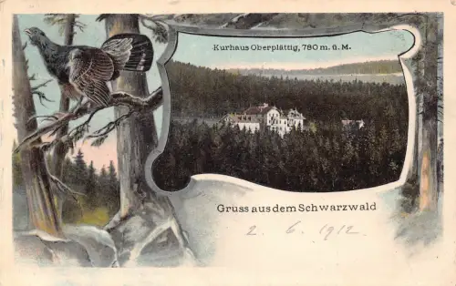 A101 Deutschland 1912 Gruss aus Schwarzwald Kurhaus Oberplaettig Big Bird Postkarte