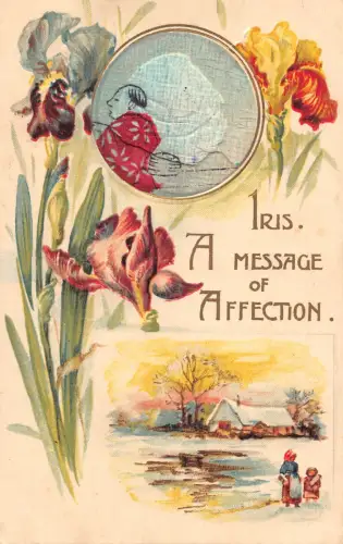 Neuheit geprägte Iris Blumen Botschaft der Zuneigung Landschaft Material Postkarte