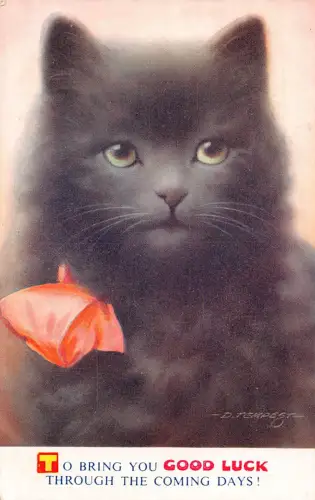 Good Luck Greetings Black Cat Art by D Tempest Vintage Postkarte