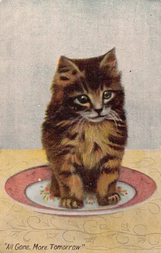 Süßes kleines Kätzchen auf einem Teller Katze Morgen ist alles weg Vintage Postkarte