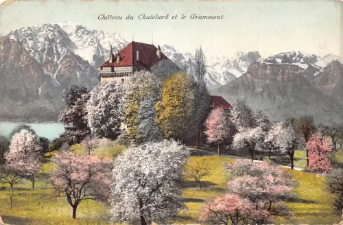 Frankreich Chateau du Chatelard et le Grammont Schloss Blühender Baum Vintage Postkarte