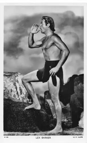 Schauspieler Filmstar Lex Barker Picturegoer Serie RPPC Postkarte