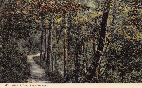 A949 England Eastbourne Wannock Glen Vintage Postkarte