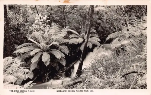 A963 Australien Victoria Britannia Creek Warburton RPPC Vintage Postkarte