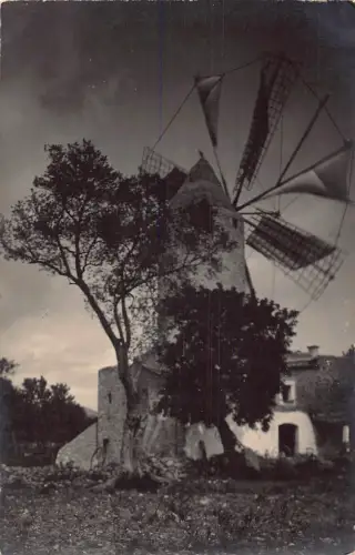 A954 Spanien Molino de Viento Selva Mallorca Windmühle RPPC Vintage Postkarte