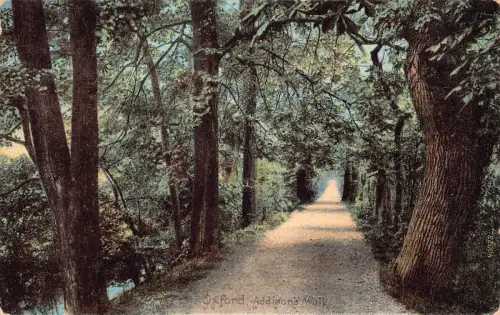 A947 England 1914 Oxford Addisons Walk Vintage Postkarte