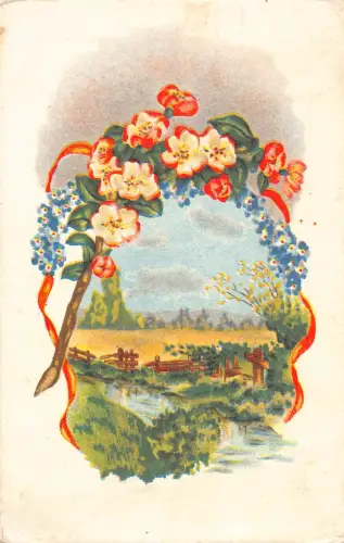 A984 Passepartout 1958 Natur Vergissmeinnicht Blumen Fluss Zaun Postkarte