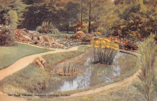 A975 Sri Lanka Ceylon Rock Garden Hakgalla Gardens Vintage Postkarte
