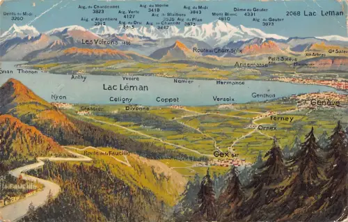 C062 Frankreich Lac Leman Panoramablick Vintage Postkarte