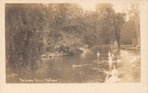 A975 Canada Beacon Hill Park Swans RPPC Vintage Postkarte