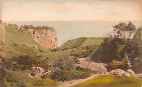 A982 England Watcombe Downs Vintage Postkarte
