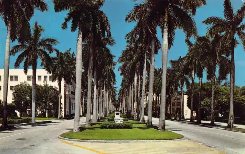 A961 USA 1970 Royal Palm Way Palm Beach Florida Vintage Postkarte