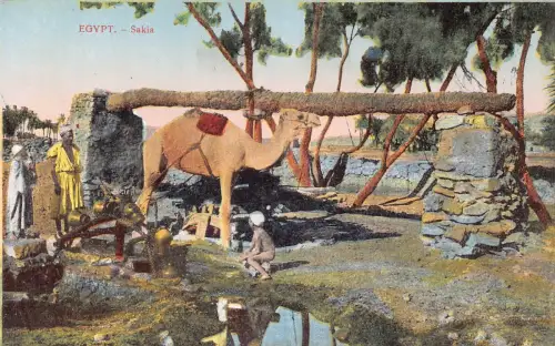 A940 Ägypten Sakia Camel Native Boy Vintage Postkarte