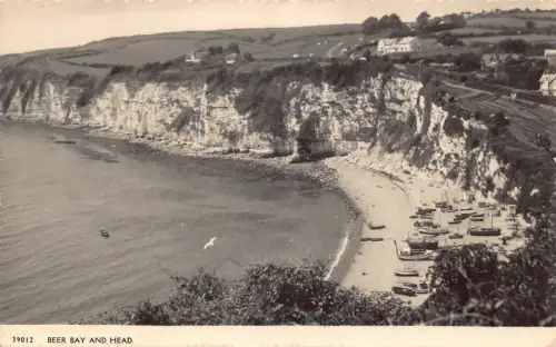 A953 England 1954 Beer Bay and Head RPPC Vintage Postkarte