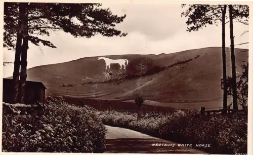 A952 England Westbury White Horse RPPC Vintage Postkarte