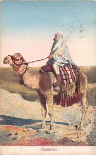 A938 Ägypten Chamelier Kamel Beduine Native Ethno 1957 Vintage Postkarte