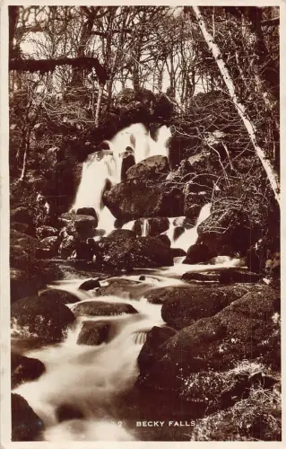 A980 England Becky Falls RPPC Vintage Postkarte