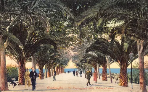 A976 Italien Ventimiglia Passeggiata delle Palme al mare Palmen Postkarte