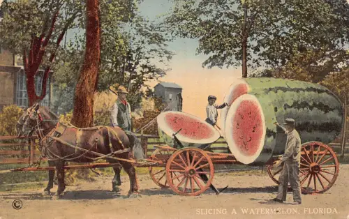 A967 US Florida Schneiden einer riesigen Wassermelone auf Wagen surreal übertrieben, Postkarte