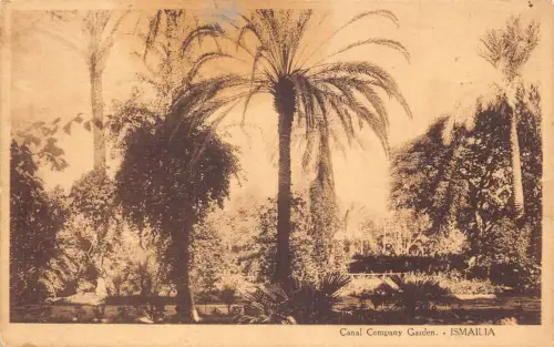 A960 Ägypten Ismailia Canal Company Garten Vintage Postkarte